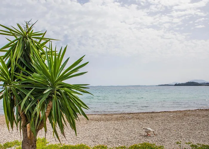 Apartament Madalena House *
